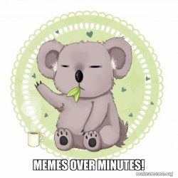 Aussie Koala doing the night shift