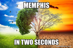 Climate Change / Global Warming