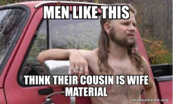 Almost Politically Correct Redneck