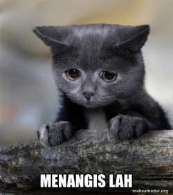 Confession Cat