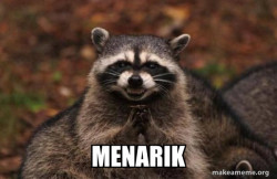 Evil Plotting Raccoon