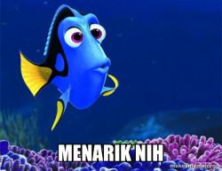 Dory from Nemo  (5 second memory)