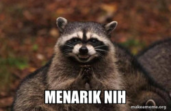Evil Plotting Raccoon