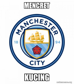 mencret kucing