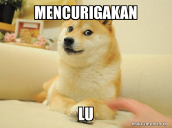 Doge