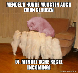 Malicious Storytelling Dog
