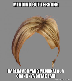 The Karen Hair