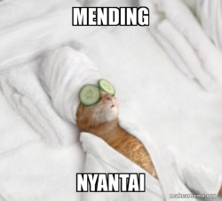 Pampered Cat Meme