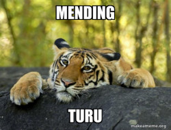 Confession Tiger