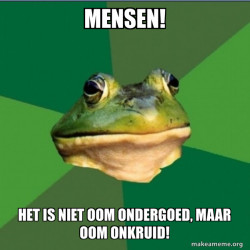 Foul Bachelor Frog