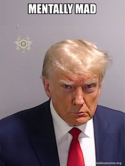 Donald Trump Mugshot