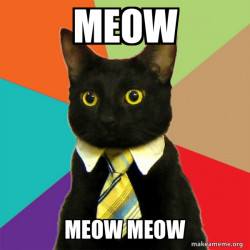Business Cat