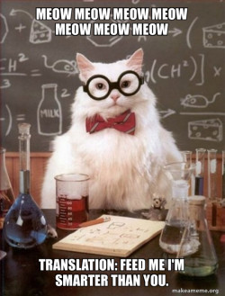 Chemistry Cat
