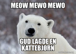 Popular Opinion Polar Bear