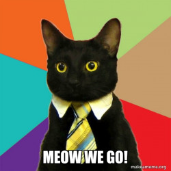 Business Cat