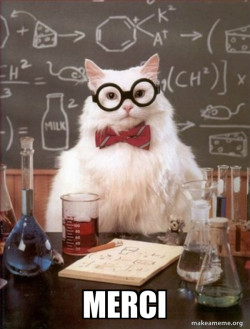 Chemistry Cat