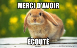 Regretful Rabbit