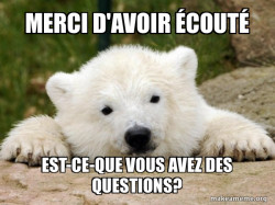Popular Opinion Bear