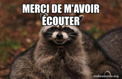 Evil Plotting Raccoon