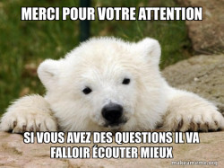 Popular Opinion Bear