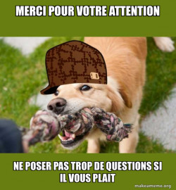 Scumbag dog