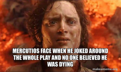 Frodo it's over it's done