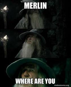 Confused Gandalf