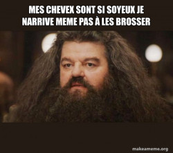 Hagrid - I should not have said that