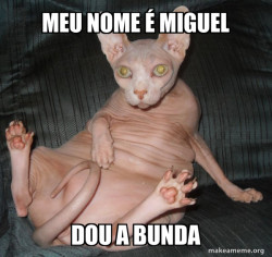 Hairless Cat
