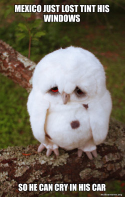 Sad Owl