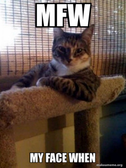 The Most Interesting Cat in the World