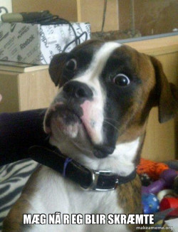 Skeptical Dog