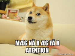 Doge