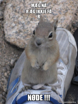 Standover Squirrel