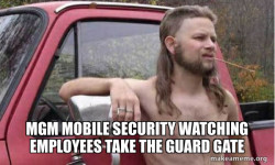 Almost Politically Correct Redneck