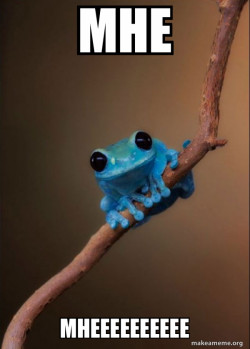 Small Fact Frog