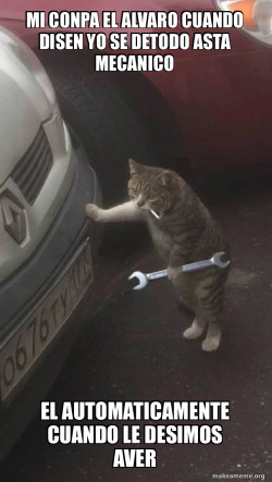 Mechanic Cat