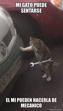 Mechanic Cat