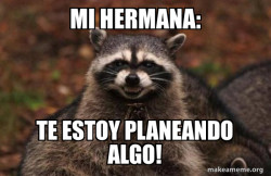 Evil Plotting Raccoon