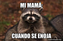 Evil Plotting Raccoon