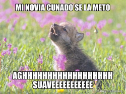 Baby Insanity Wolf