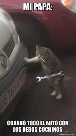 Mechanic Cat