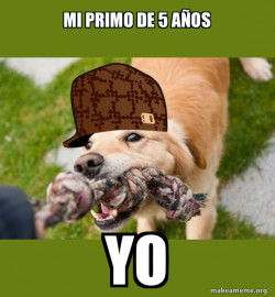 Scumbag dog