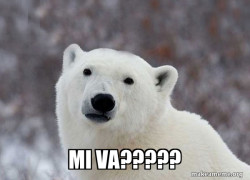 Popular Opinion Polar Bear