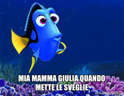Dory from Nemo  (5 second memory)