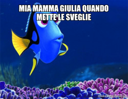 Dory from Nemo  (5 second memory)