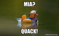 Fashionable Advice Mallard