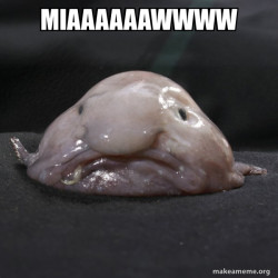 Blobfish