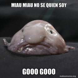 Blobfish