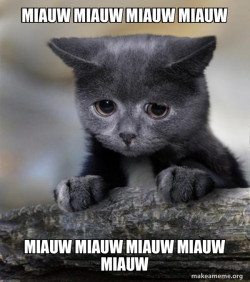 Confession Cat